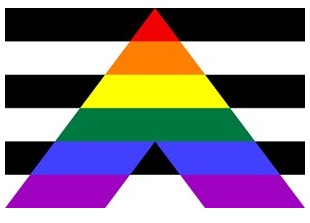 Gay Straight Ally Flag